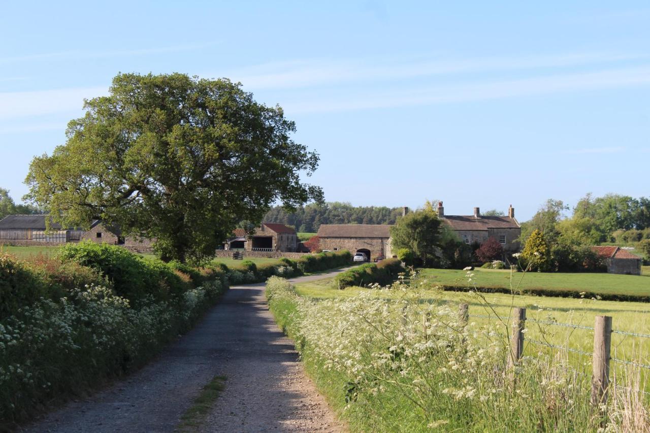 Mallard Grange Bed & Breakfast 5*